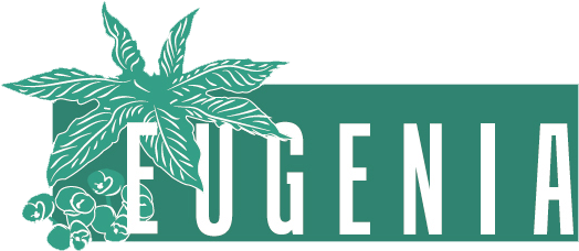 Project (555x262), Png Download