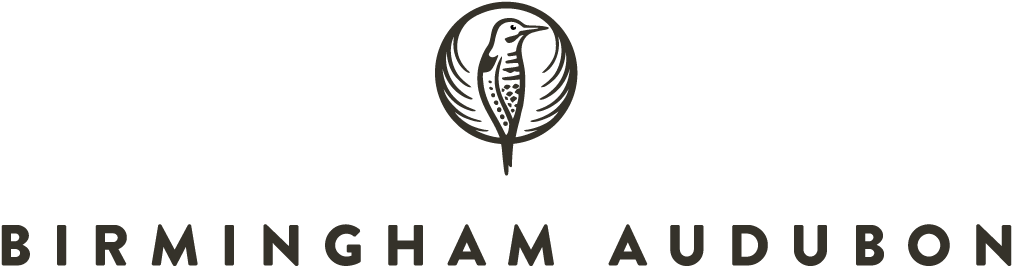 Birmingham Audubon - Birmingham Audubon Society (2003x422), Png Download