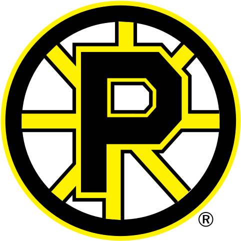 Providence Bruins - Providence Bruins Logo Png (500x500), Png Download