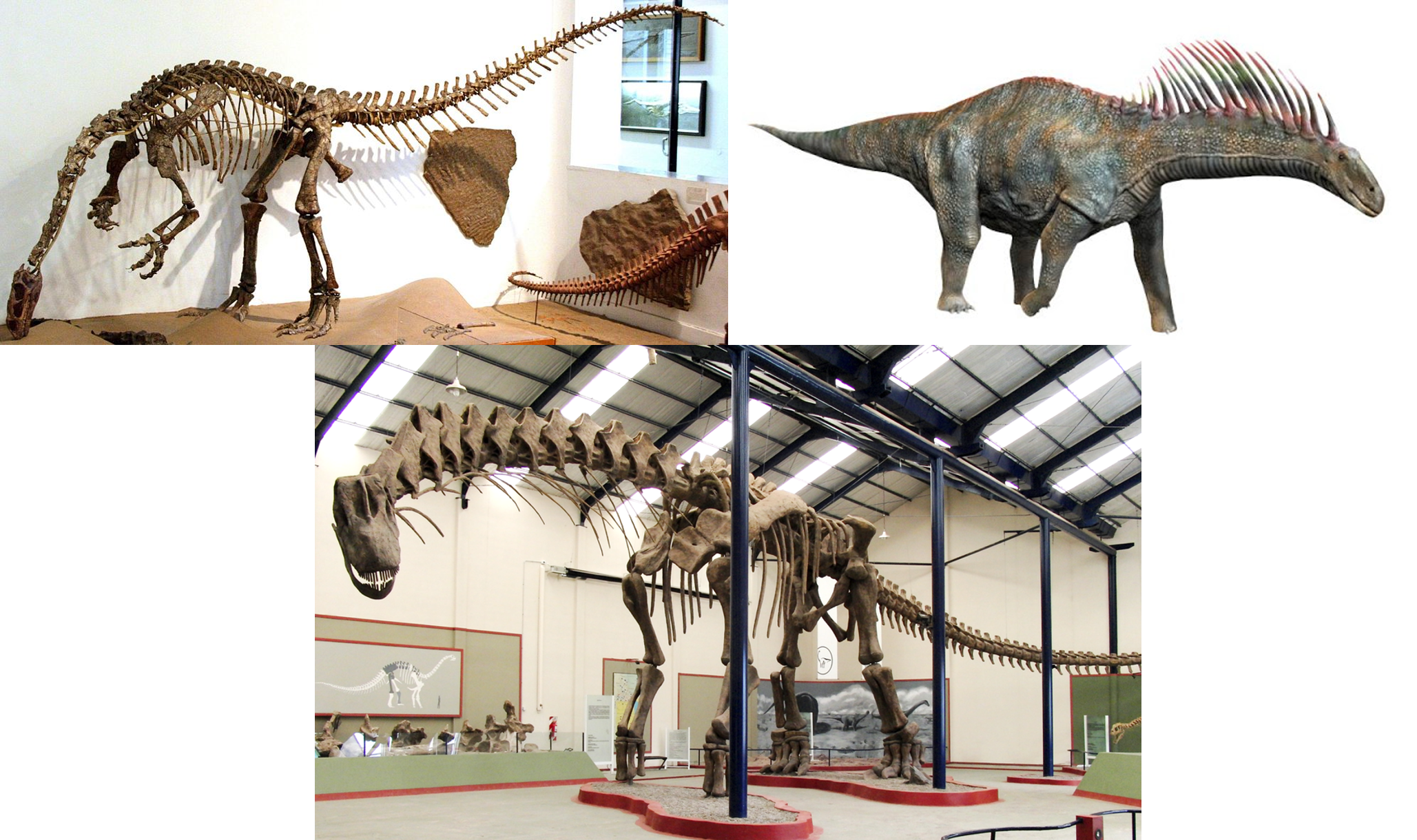 Argentinosaurus Huinculensis (2057x1220), Png Download