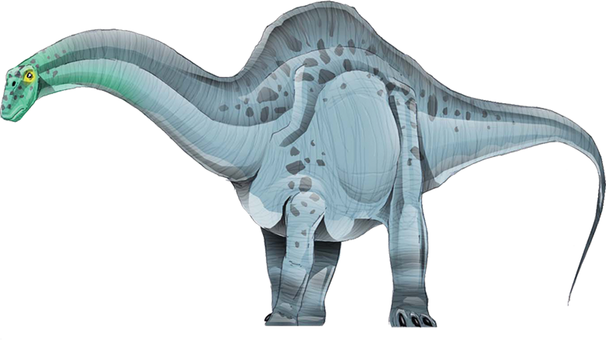 Apatosaurus - Montana Dinosaur Trail Pngs (1200x674), Png Download