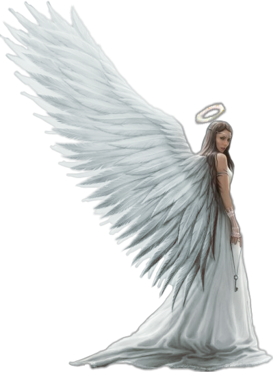 Schalo Sticker - Frases Satisfaccion Del Deber Cumplido (399x543), Png Download