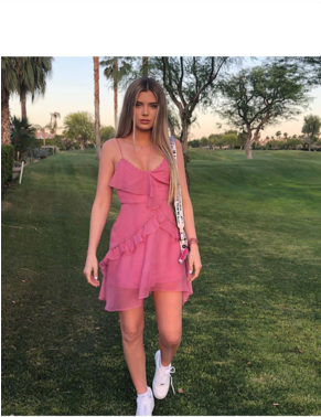 Looking For This Pink Dress Alissa Violet Wore - Alissa Violet Pink Dress (290x516), Png Download