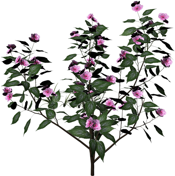 Flower (640x624), Png Download