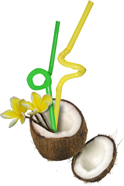 Coconut Drink - Coconut (402x600), Png Download
