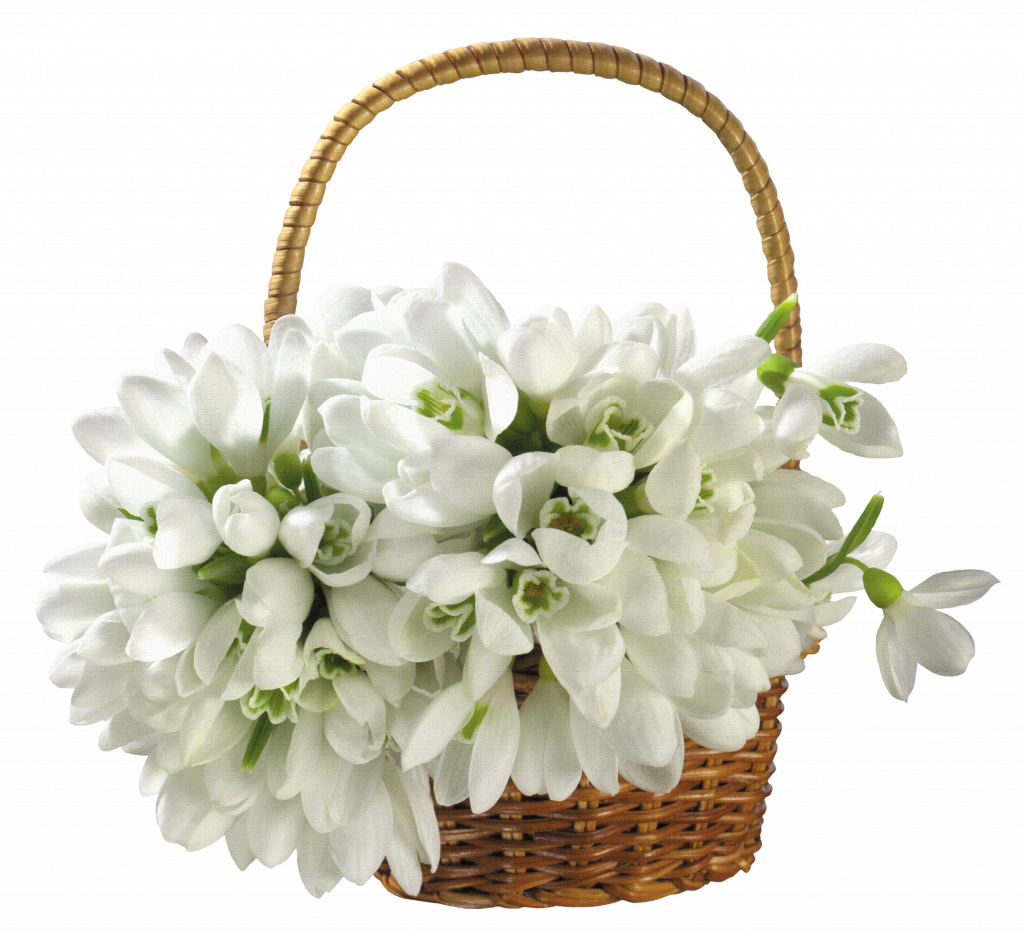 Tree, Plants & Flower - White Flower Basket Png (1024x931), Png Download
