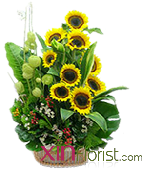 As Picture - Garden (350x350), Png Download