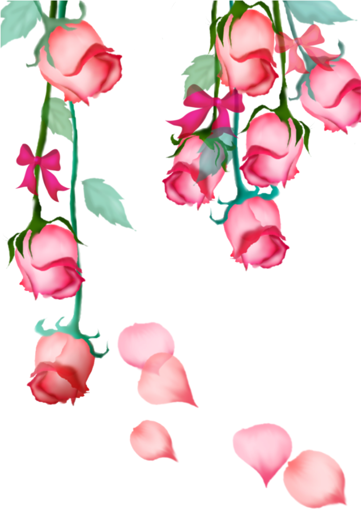Mq Pink Rose Roses Hanging Bow Flowers Flower - 花朵 (1024x1024), Png Download