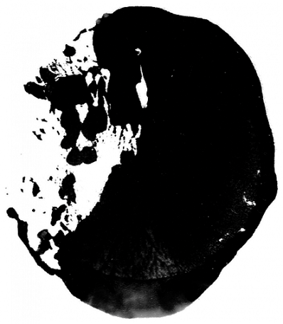 Paint Kit - Illustration (398x456), Png Download