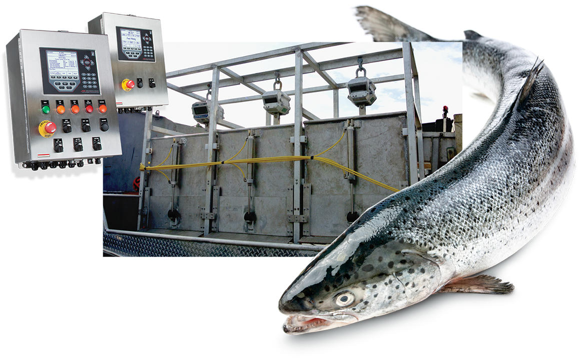 Commercial Fishing 920i Flexweigh - Commercial Fishing (1160x741), Png Download