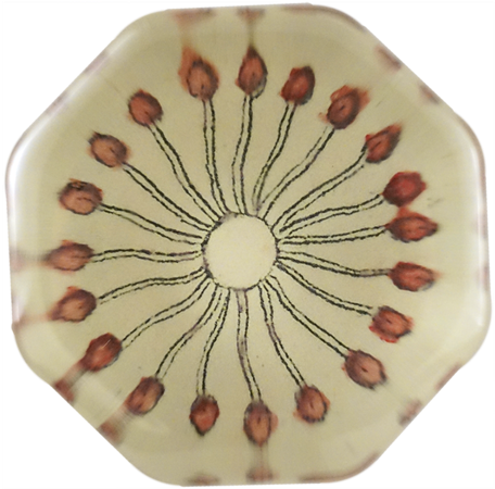 Pinwheel Pinwheel - Red (500x500), Png Download