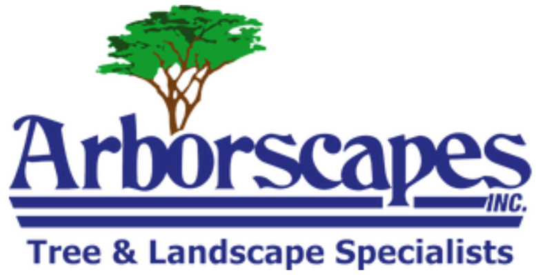 Arborscapes - Arborscapes Inc. (777x399), Png Download