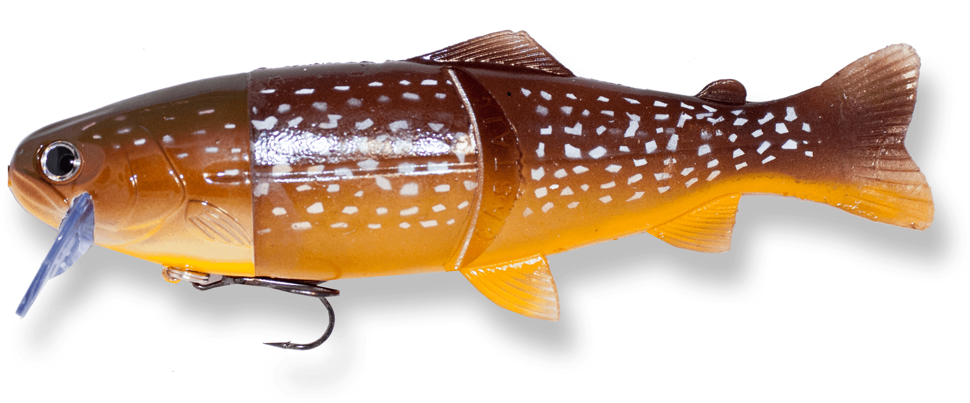 Northern Pike - Castaic (3456x1362), Png Download