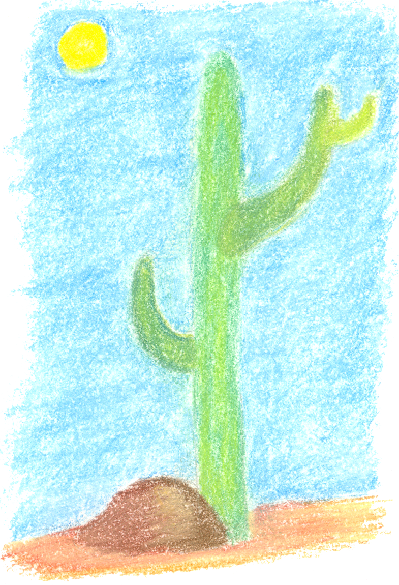 Cactus - Drawing (785x1150), Png Download