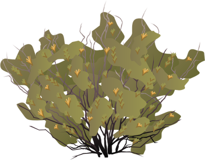 Ian Symbol Chuquiraga Avellanedae - Illustration (400x313), Png Download