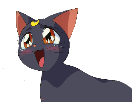Sailor Moon / Luna Sailor Moon Luna, Madoka Magica, - Luna Sailor Moon (442x342), Png Download