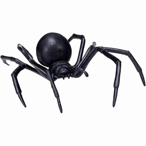 Black Spider Png Transparent Image - Safari Ltd. Safari Ltd Hidden Kingdom – Black Widow (564x564), Png Download