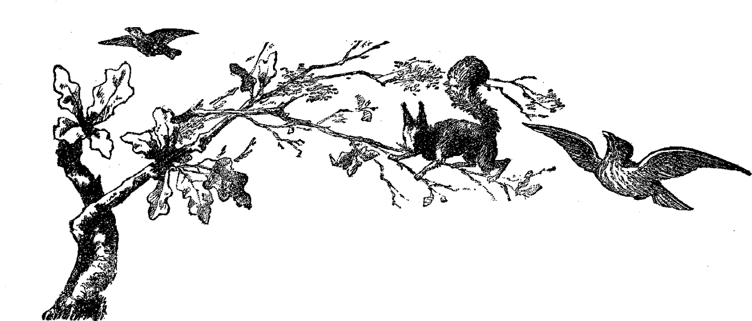 Digital Stamp Design - Design (1600x751), Png Download