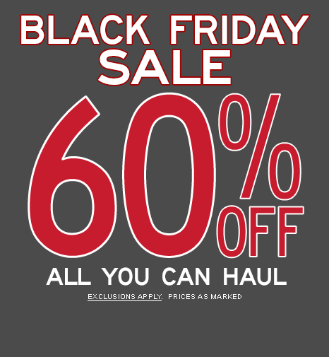 *live* Aeropostale Black Friday Sale 60% Off - Electrolux Ehd 60020 P (466x505), Png Download