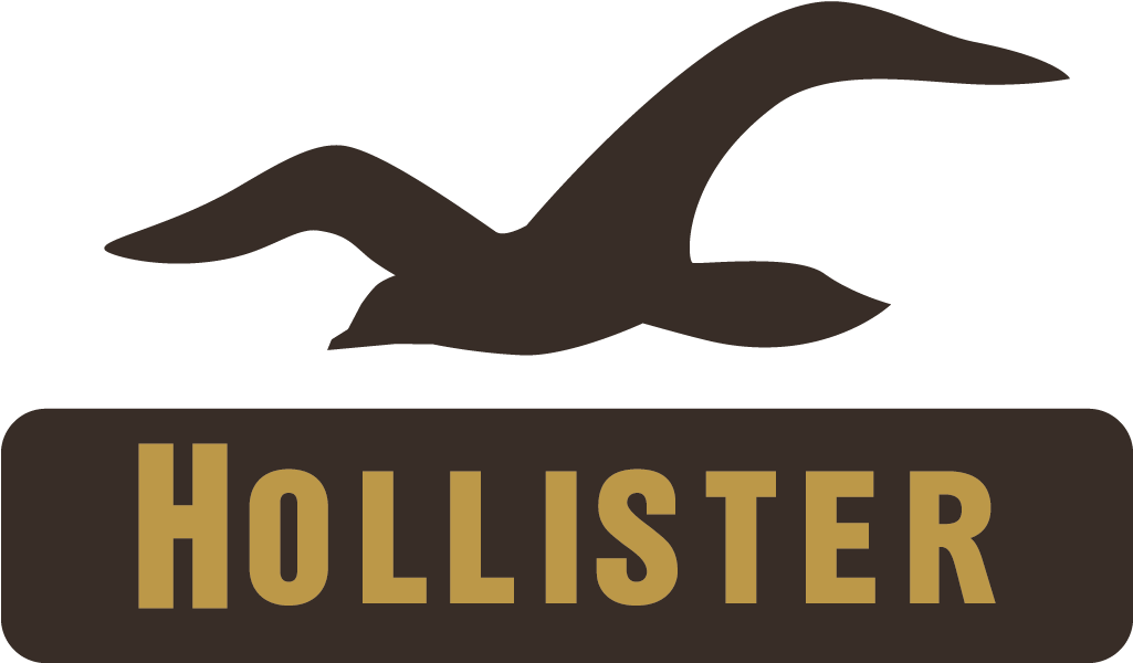 Hollister-logo - Hollister Logo (1024x606), Png Download