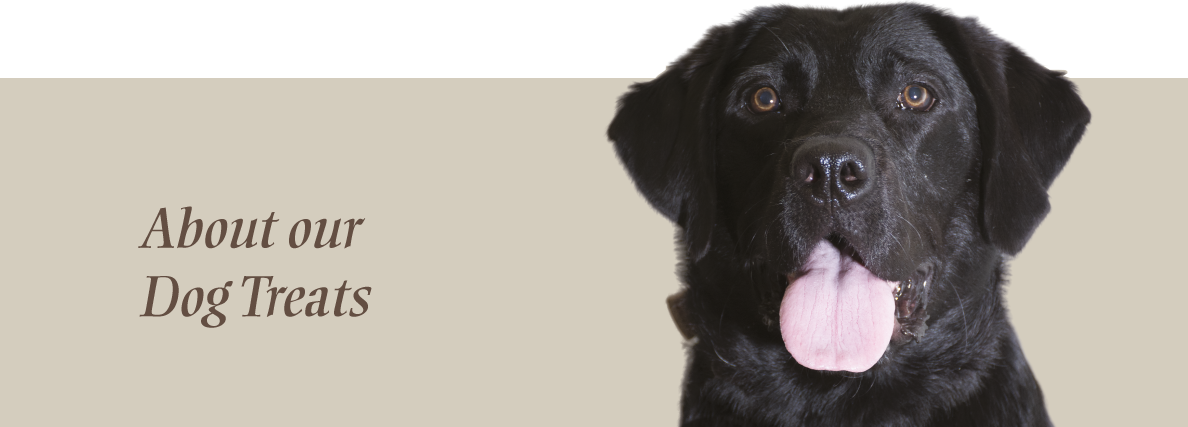 Dogs Love Charlee Bear Treats - Charlee Bear Bear Crunch Grain Free (1188x427), Png Download