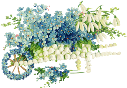Flowers - Vintage - Maine Coon Cat Forget Me Not* Unset Cameo Porcelain (500x320), Png Download