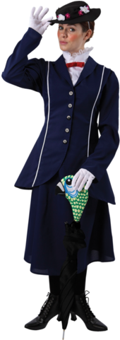 Magical Nanny - Adult World Book Day Costumes (303x480), Png Download