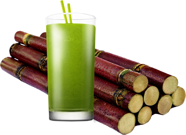 Call Of Duty Modern Warfare Remastered Png - Edible Stems Sugar Cane (600x437), Png Download