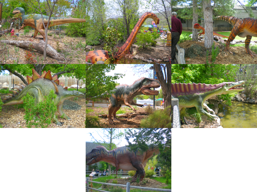 Along The Way We Saw - Tyrannosaurus (900x675), Png Download