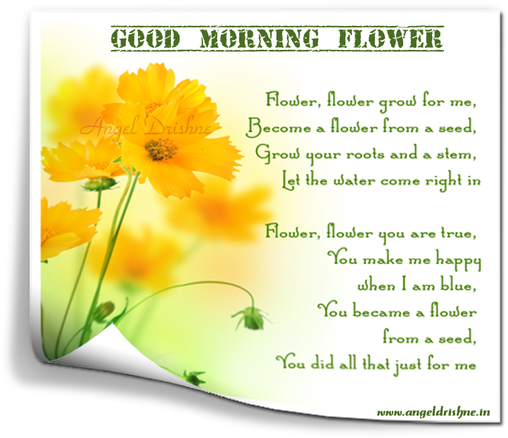 Good Morning America Is An American Morning Television - Love Mornings That Start Late, Very Late. The Later (900x680), Png Download