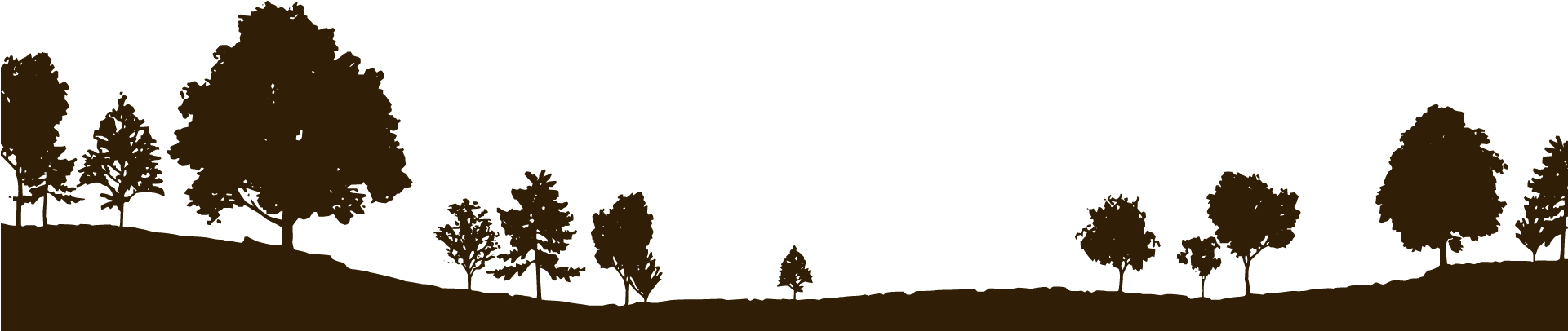 Contact Us - - Tree Landscape Silhouette (1920x427), Png Download