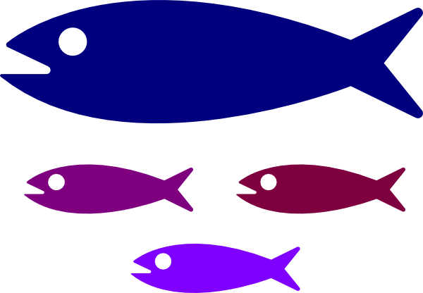 Download HD Small Medium Large Fish Transparent PNG Image - NicePNG.com