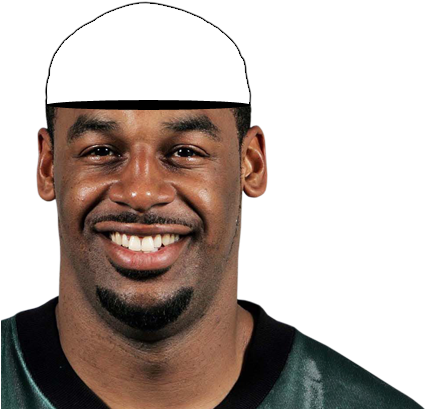"ha Ha Ha Ha Ha Ha Ha Ha Ha " - Donovan Mcnabb (450x424), Png Download