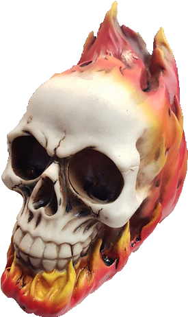 Flaming Fire Skull Money Box - Money (290x482), Png Download