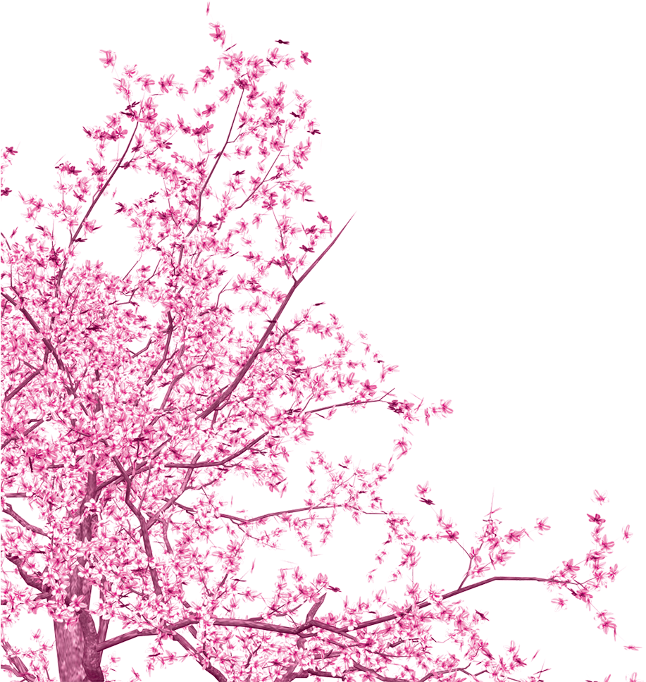 Download Ink Cherry Blossom Vector Free Download - Cherry Blossom ...