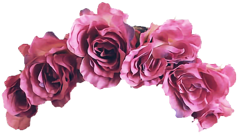 Gemstone Amp Mineral Glossary Gemstone Information - Flower Crown White Background (854x544), Png Download