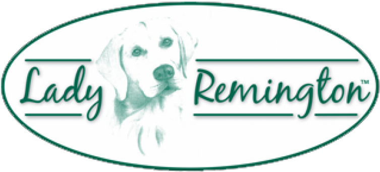 Lady Remington Fashion T-shirt Style - Cleaning Lady (800x800), Png Download