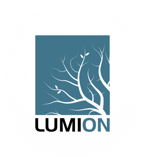 Lumion Beautiful Renders Within Reach South Africa - Lumion 3d (462x500), Png Download