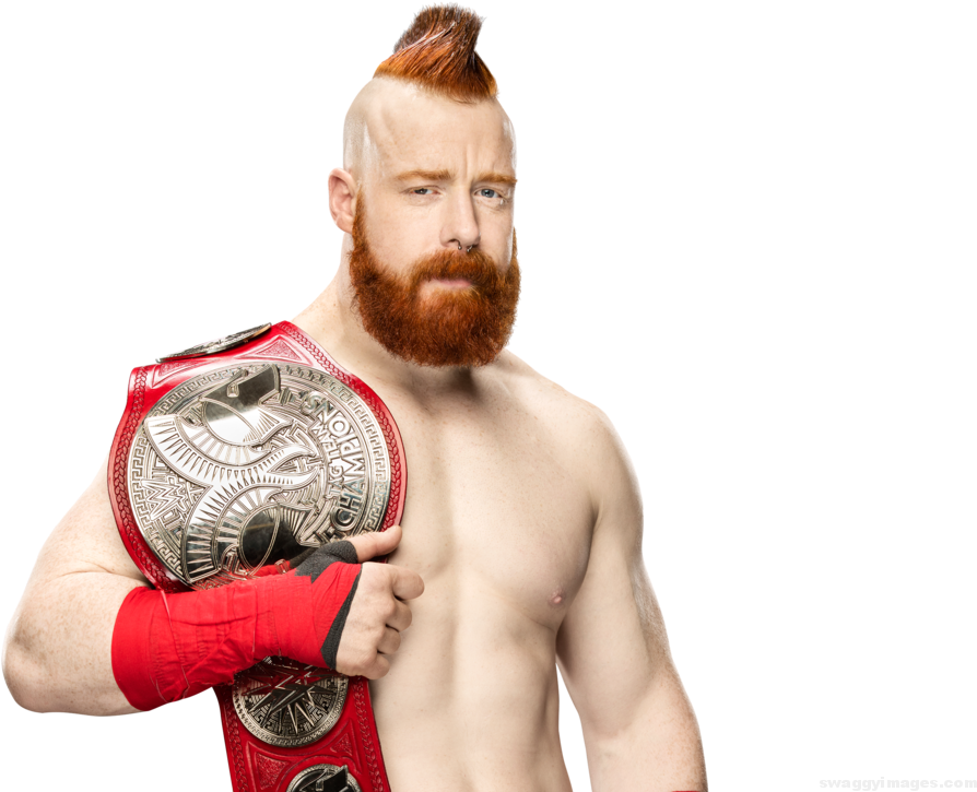 Sheamus Wwe World Tag Team Champion - Cesaro And Sheamus Tag Team Champions Png (1023x724), Png Download