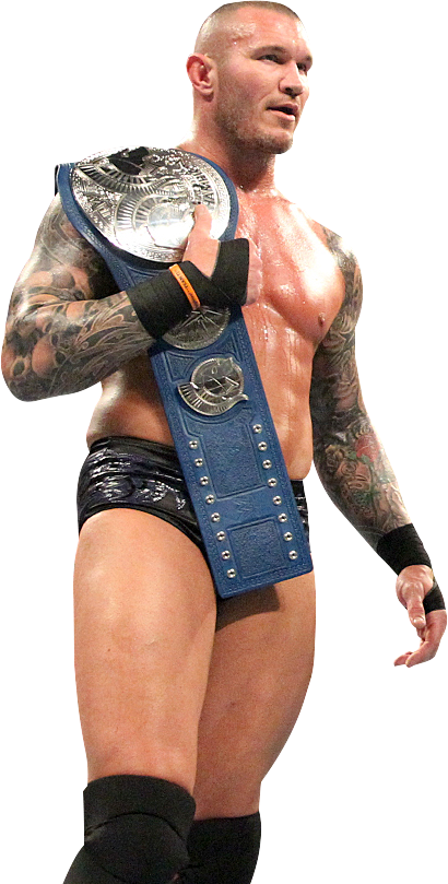 Randy Orton Tag Team Champion - Randy Orton Tag Team Champion Png (410x809), Png Download