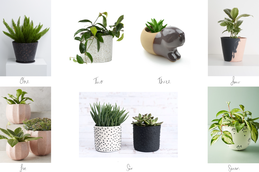Top 10 Planters (1000x667), Png Download