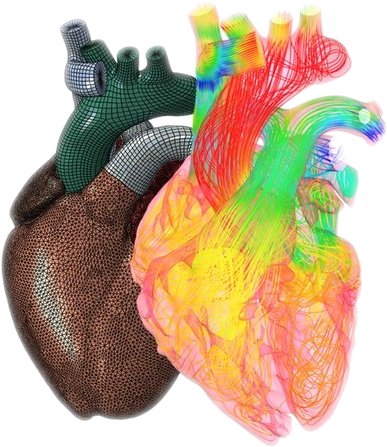 A Research Initiative To Revolutionize Cardiovascular - Application Of Cfd In Biomedical (426x456), Png Download