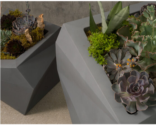 Origami Planter - White Mexican Rose (500x500), Png Download