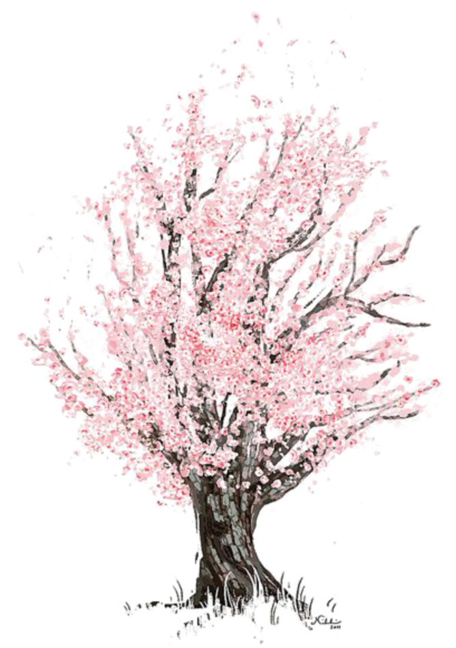 Mq Pink Tree Blossom Watercolor (1024x1024), Png Download