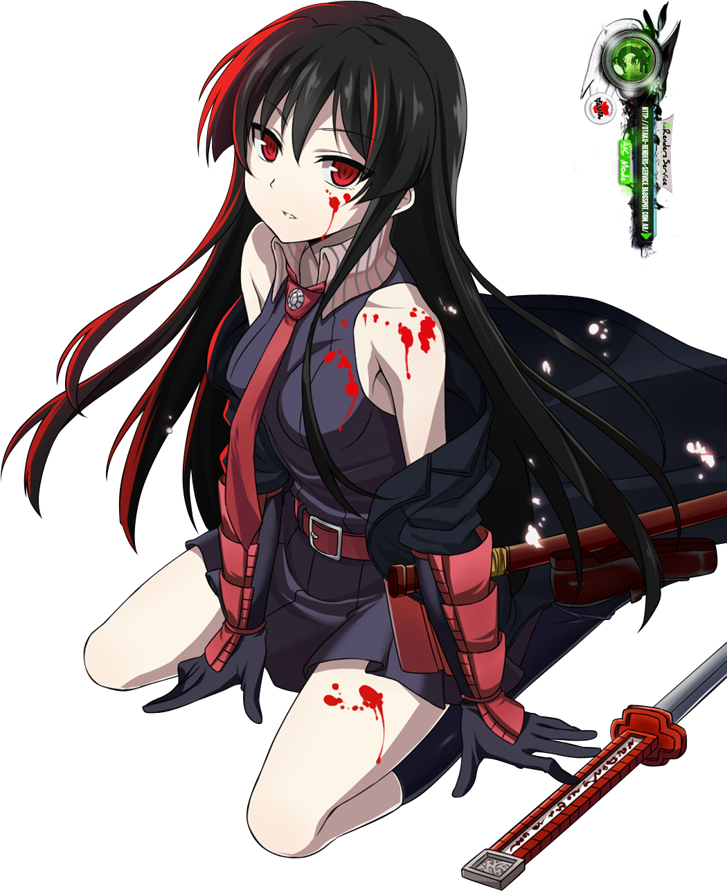 Advantage Of This And Voted For Akame 30 Times - Akame Ga Kill Akame Render (1063x1334), Png Download
