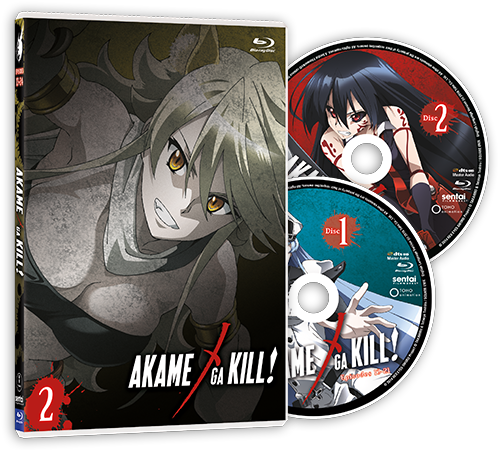 The Akame Ga Kill Collection 2 Limited Edition Premium - Akame Ga Kill! Vol.6 Blu-ray Region Free Japanese Anime (507x458), Png Download