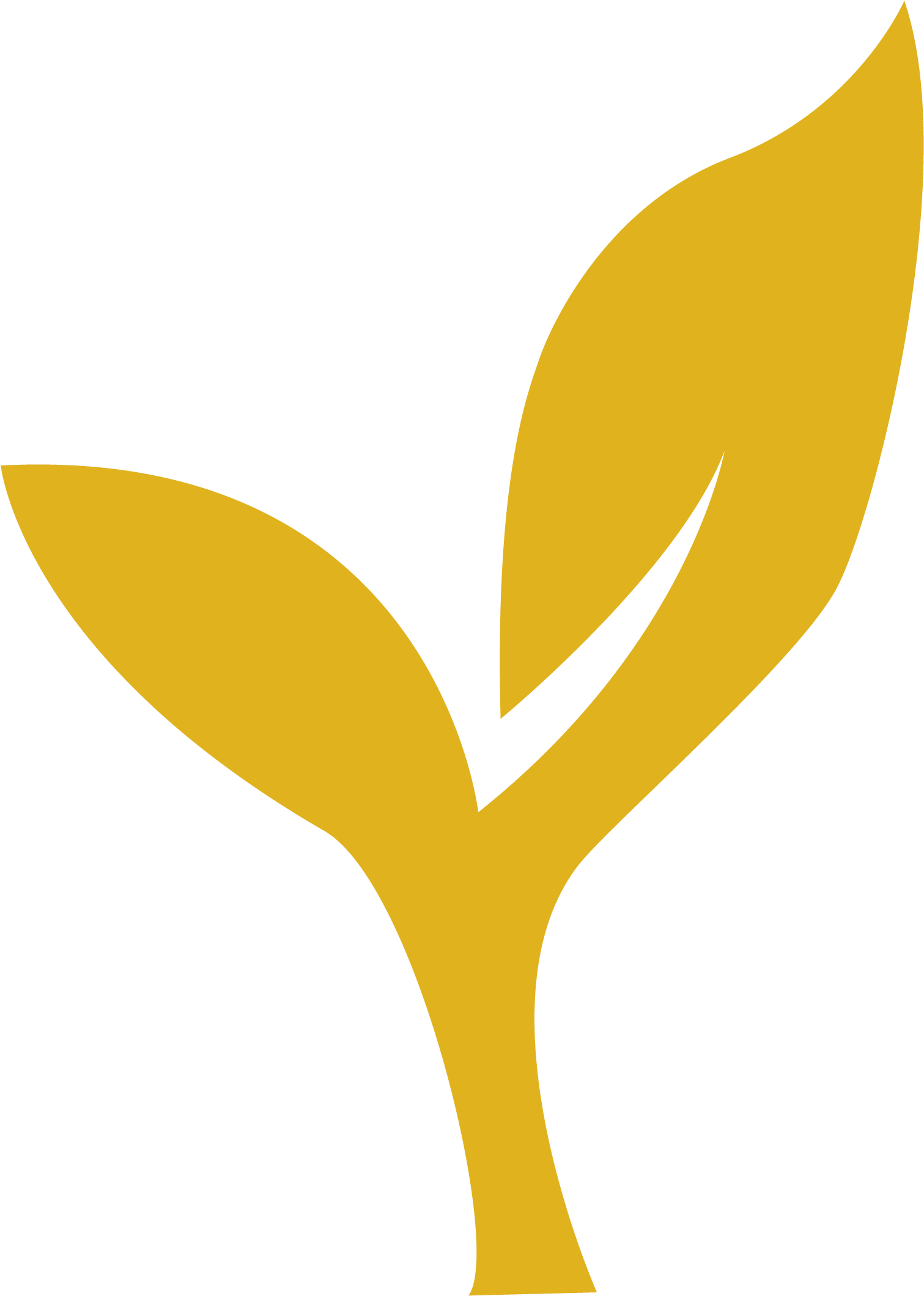 Ready To Grow - Gold Nitro Instagram (2400x2401), Png Download