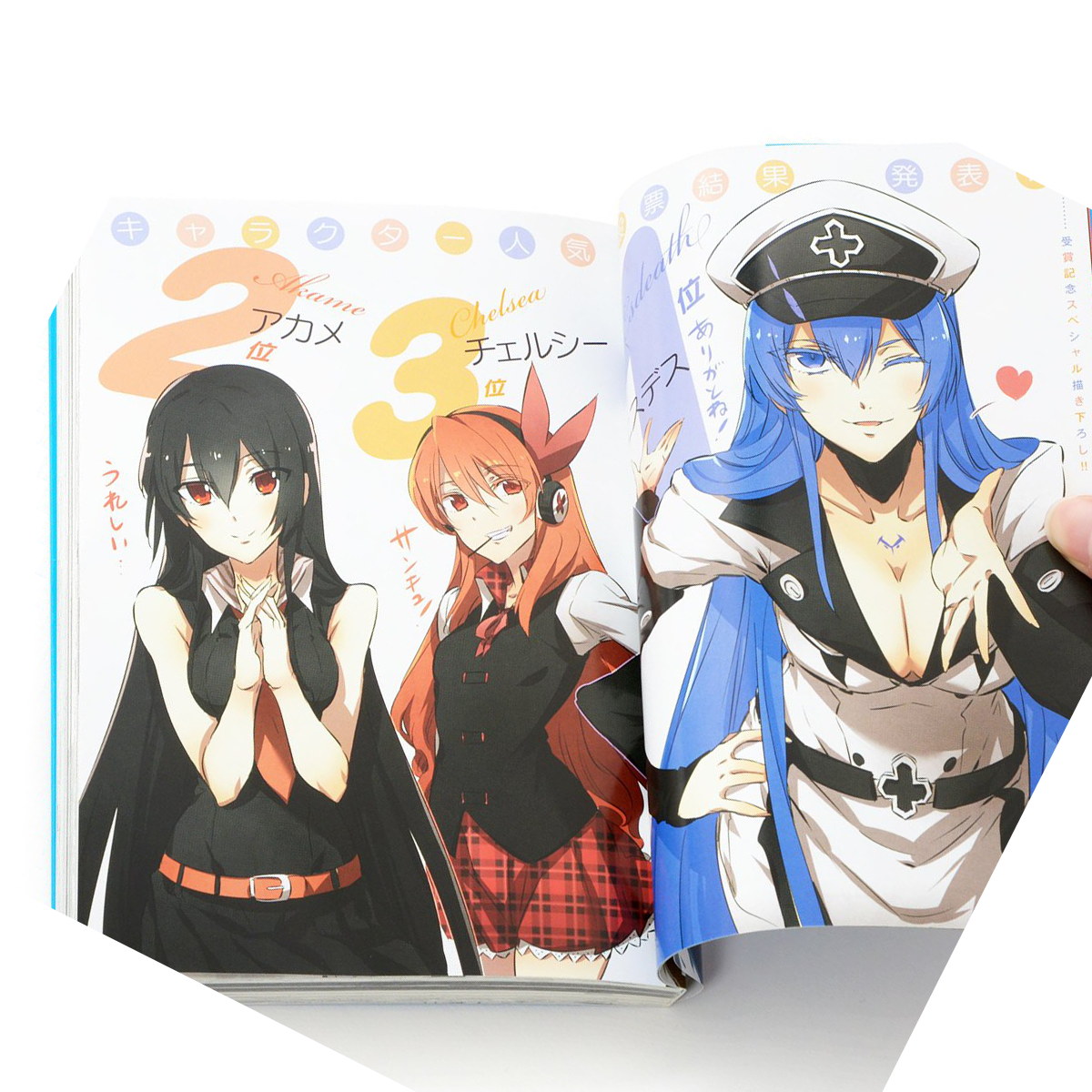 Akame, Chelsea, Esdeath [fanbook Higher Quality] - Akame Ga Kill Fanbookscans (1200x1200), Png Download