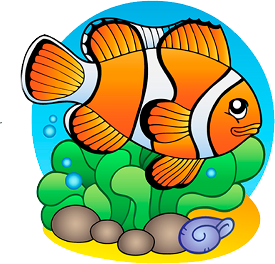 Pez Payaso - Finding Fish & Marine Life Coloring Book (600x600), Png Download
