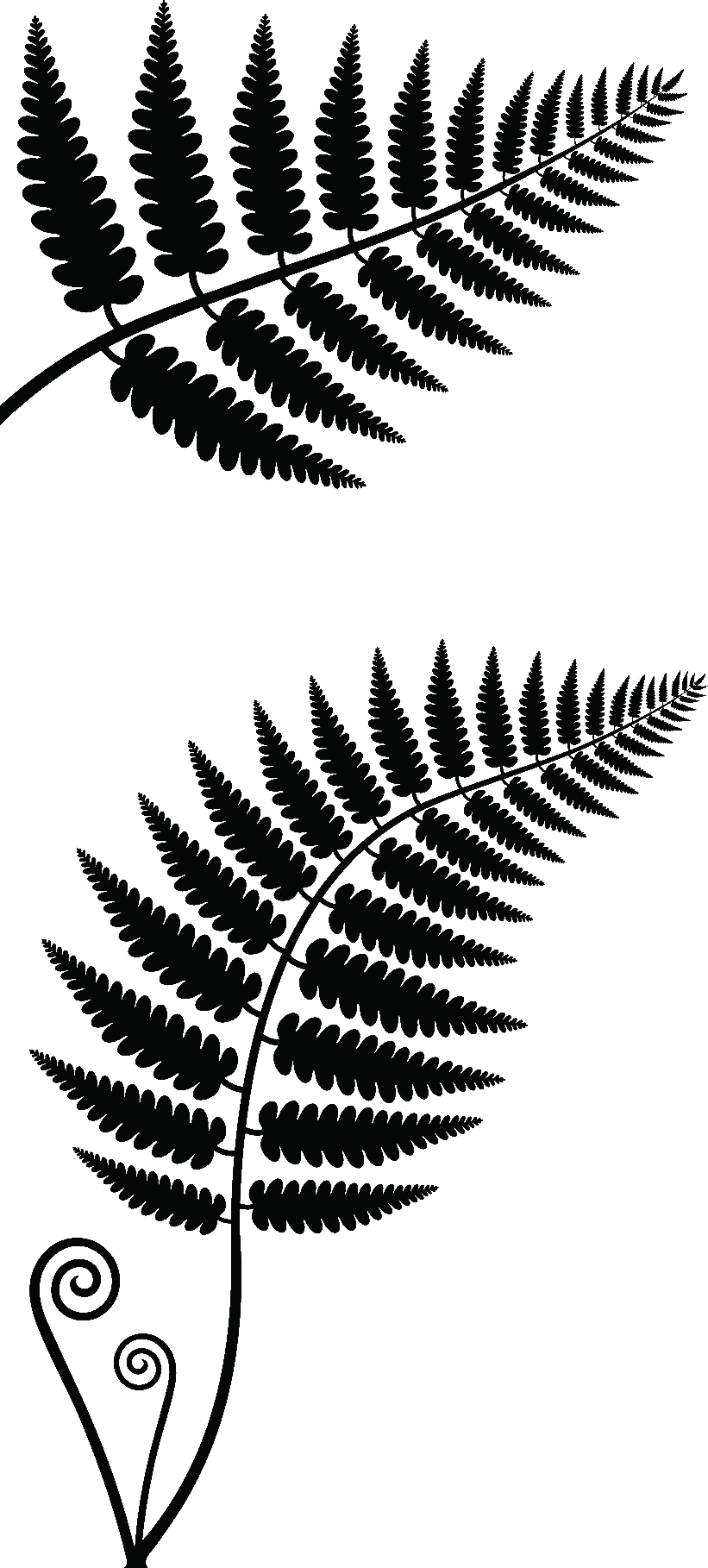 Vector Graphics (821x1818), Png Download